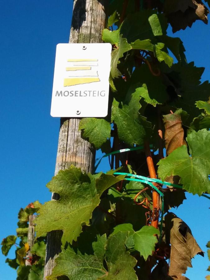 Weingut Matthias Dauns Apartment Reil Exterior photo